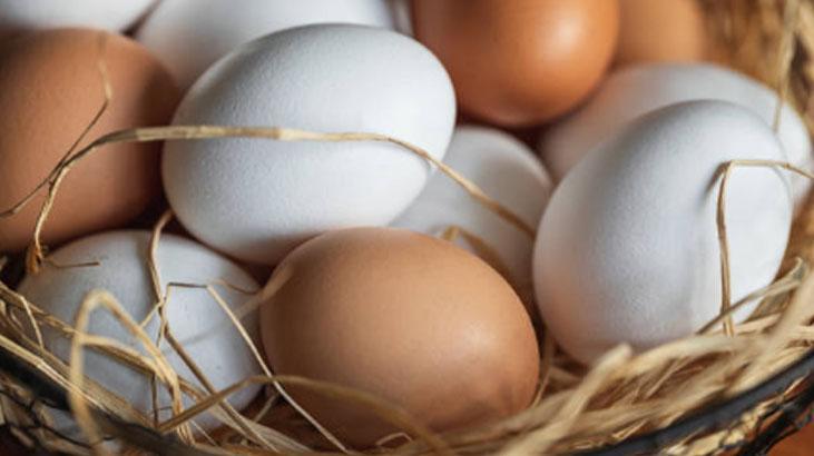 Yumurtanın farkı mikroskopta ortaya çıktı Üzerindeki rakamların anlamı farklıymış