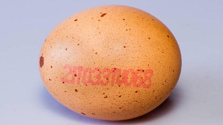 Bu kodlar ne anlama geliyor