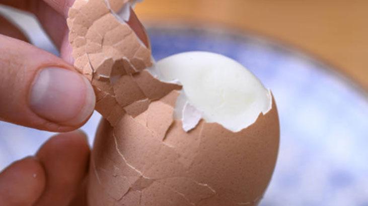 Yumurtanın farkı mikroskopta ortaya çıktı Üzerindeki rakamların anlamı farklıymış