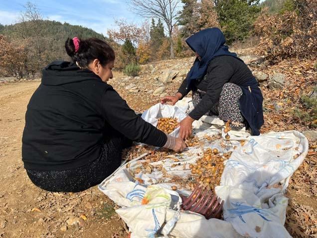 Gizemli hayırseverin 30 yıllık mirası İlçede yaşayanlar tesadüfen keşfetti: ‘Kilosunu 150 TL’den satıyoruz’