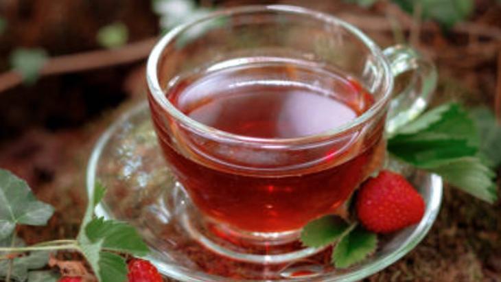 BAHAR GİBİ TAPTAZE TATLAR İÇİN: ÇİLEK, BÖĞÜRTLEN, YABAN MERSİNİ