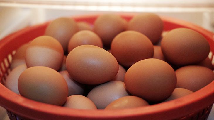 Buzlukta bir yıla kadar dayanıyor Yumurtanın en güzel hali donmuş olanı mı