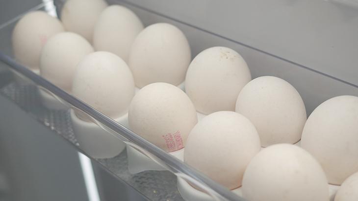 Buzlukta bir yıla kadar dayanıyor Yumurtanın en güzel hali donmuş olanı mı