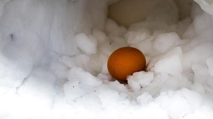 Buzlukta bir yıla kadar dayanıyor Yumurtanın en güzel hali donmuş olanı mı