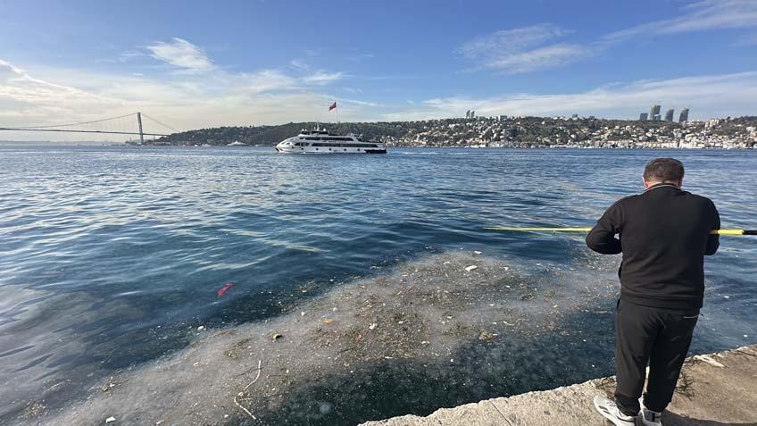 Üsküdar’da şok görüntü: Binlercesi kıyıya vurdu: Bu sene enteresan şeyler oluyor