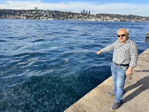 BU KADAR DENİZANASININ OLMASI NORMAL DEĞİL