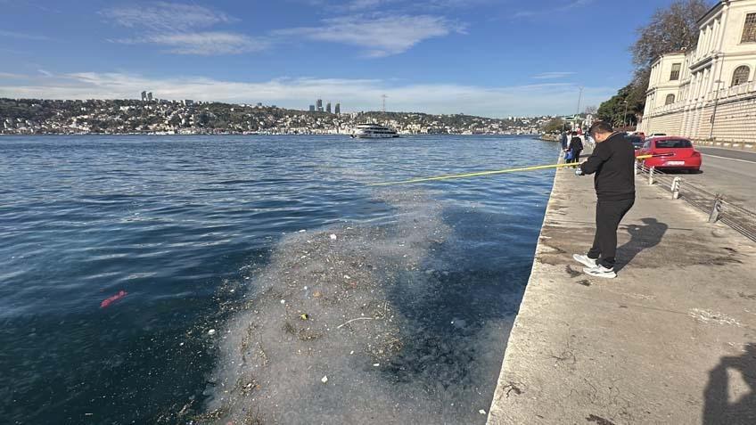 Üsküdar’da şok görüntü: Binlercesi kıyıya vurdu: Bu sene enteresan şeyler oluyor