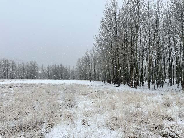 Uyarıların ardından kar kalınlığı 10 santimetreye ulaştı