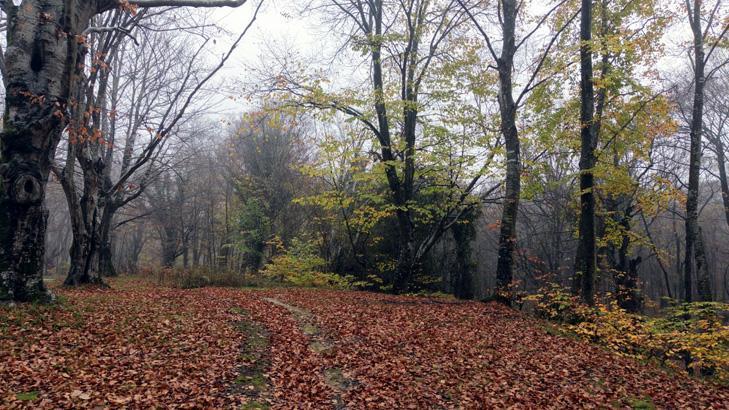 ‘RENKLER ŞOV YAPIYOR’