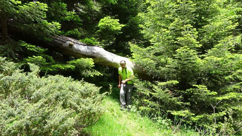 Kastamonuda inanılmaz keşif ‘5 kapısı ve basketbol sahası büyüklüğünde salonu var’ Kastamonuda inanılmaz keşif ‘5 kapısı ve basketbol sahası büyüklüğünde salonu var’