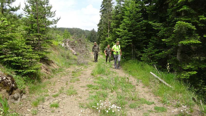 Kastamonuda inanılmaz keşif ‘5 kapısı ve basketbol sahası büyüklüğünde salonu var’ Kastamonuda inanılmaz keşif ‘5 kapısı ve basketbol sahası büyüklüğünde salonu var’