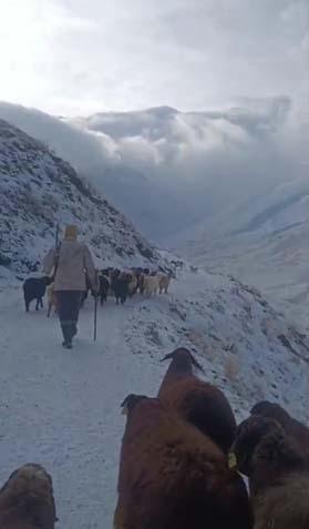 AĞRIDA KAR VE TİPİ HAYATI DURDURDU