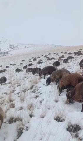 Kar ve tipi nedeniyle hayat durdu Birçok kentte kar kalınlığı 50 santime ulaştı