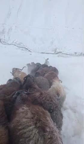 Kar ve tipi nedeniyle hayat durdu Birçok kentte kar kalınlığı 50 santime ulaştı