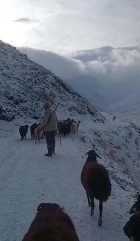 Kar ve tipi nedeniyle hayat durdu Birçok kentte kar kalınlığı 50 santime ulaştı