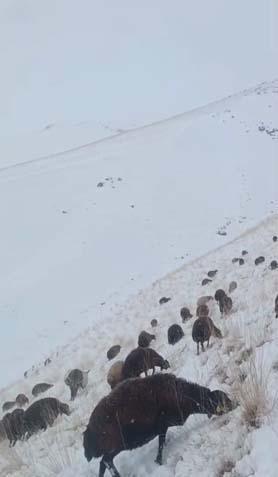 Kar ve tipi nedeniyle hayat durdu Birçok kentte kar kalınlığı 50 santime ulaştı