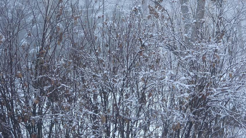 Kar ve tipi nedeniyle hayat durdu Birçok kentte kar kalınlığı 50 santime ulaştı