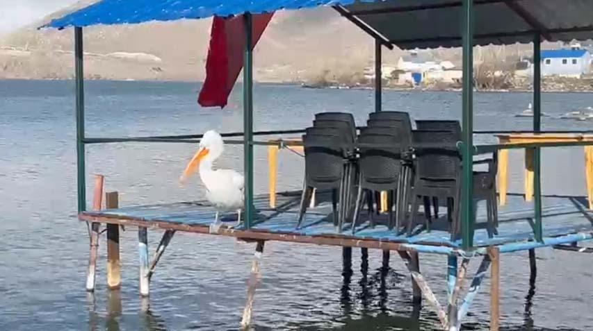 ‘DOĞU’DA ARTIK KIŞ YOK’