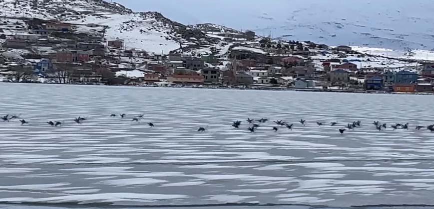 Çıldır Gölü bu yıl buz tutmadı 123 kilometrekarelik gölden şaşırtan görüntü: Kızakçılar yeni yılı bekliyor