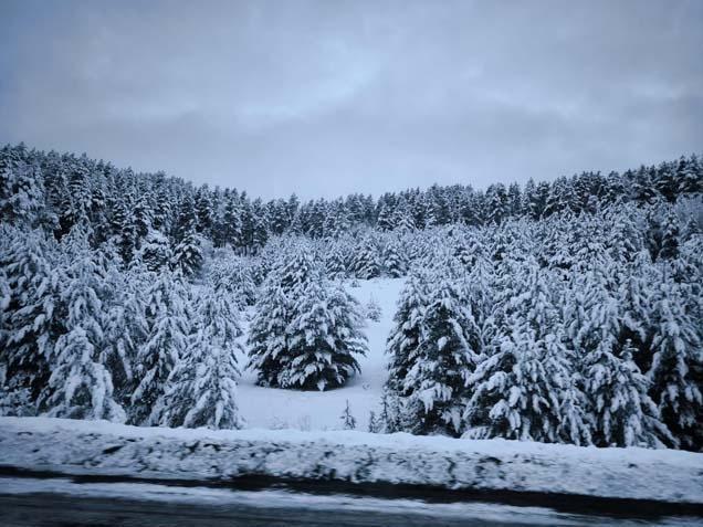 Kar ve tipi nedeniyle hayat durdu Birçok kentte kar kalınlığı 50 santime ulaştı