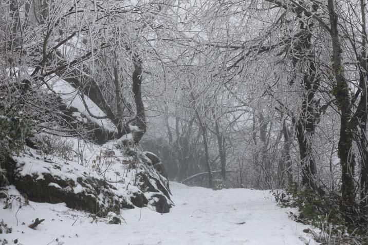 Kar ve tipi nedeniyle hayat durdu Birçok kentte kar kalınlığı 50 santime ulaştı