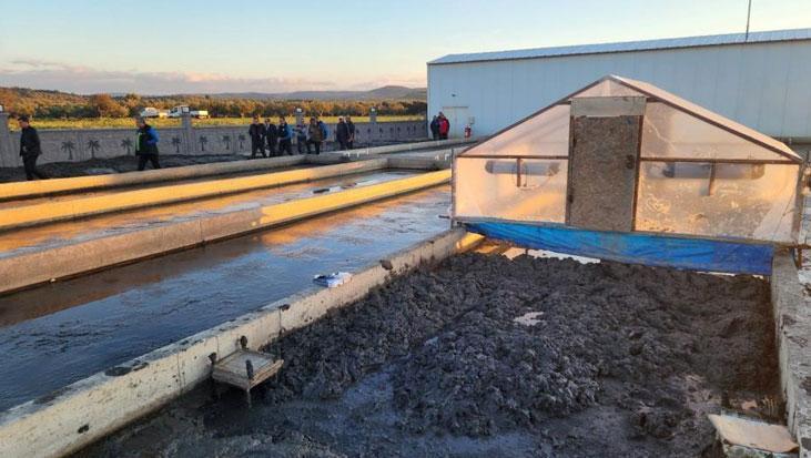 Yıllık üretim kapasitesi tam 35 ton Deniz solucanlarını böyle yetiştiriyorlar