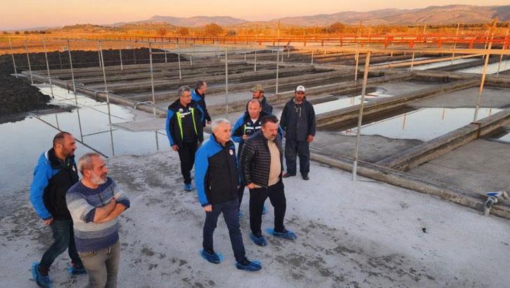 Yıllık üretim kapasitesi tam 35 ton Deniz solucanlarını böyle yetiştiriyorlar