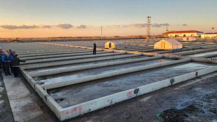 Yıllık üretim kapasitesi tam 35 ton Deniz solucanlarını böyle yetiştiriyorlar