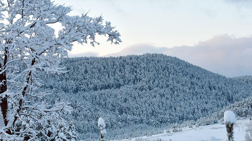 Kar etkisini artıracak Yollar kapandı, tipi ve sis etkisini artırdı: Tam 30 santimetre...