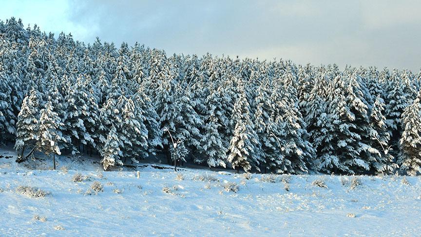 Kar etkisini artıracak Yollar kapandı, tipi ve sis etkisini artırdı: Tam 30 santimetre...
