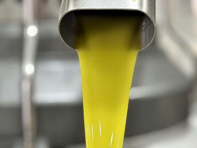 Muhtar fabrika kurup tüm mahalleyi işe aldı ‘Tesisten önce iş için başka illere gidiyordum’