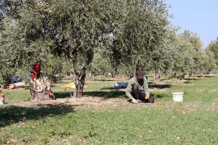 Muhtar fabrika kurup tüm mahalleyi işe aldı ‘Tesisten önce iş için başka illere gidiyordum’