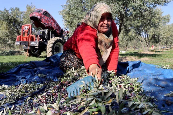 Muhtar fabrika kurup tüm mahalleyi işe aldı ‘Tesisten önce iş için başka illere gidiyordum’