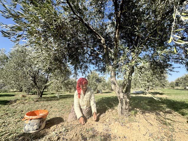 Muhtar fabrika kurup tüm mahalleyi işe aldı ‘Tesisten önce iş için başka illere gidiyordum’