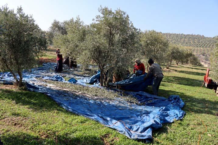 Muhtar fabrika kurup tüm mahalleyi işe aldı ‘Tesisten önce iş için başka illere gidiyordum’