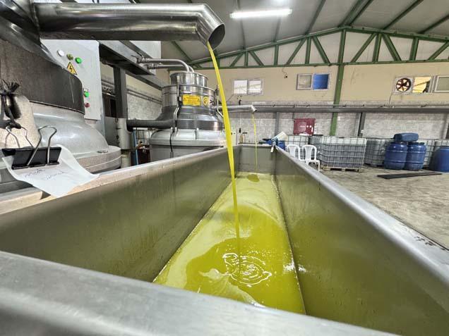 Muhtar fabrika kurup tüm mahalleyi işe aldı ‘Tesisten önce iş için başka illere gidiyordum’