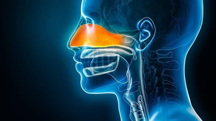 Balon yöntemi sinüzit ameliyatlarında riski en aza indiriyor