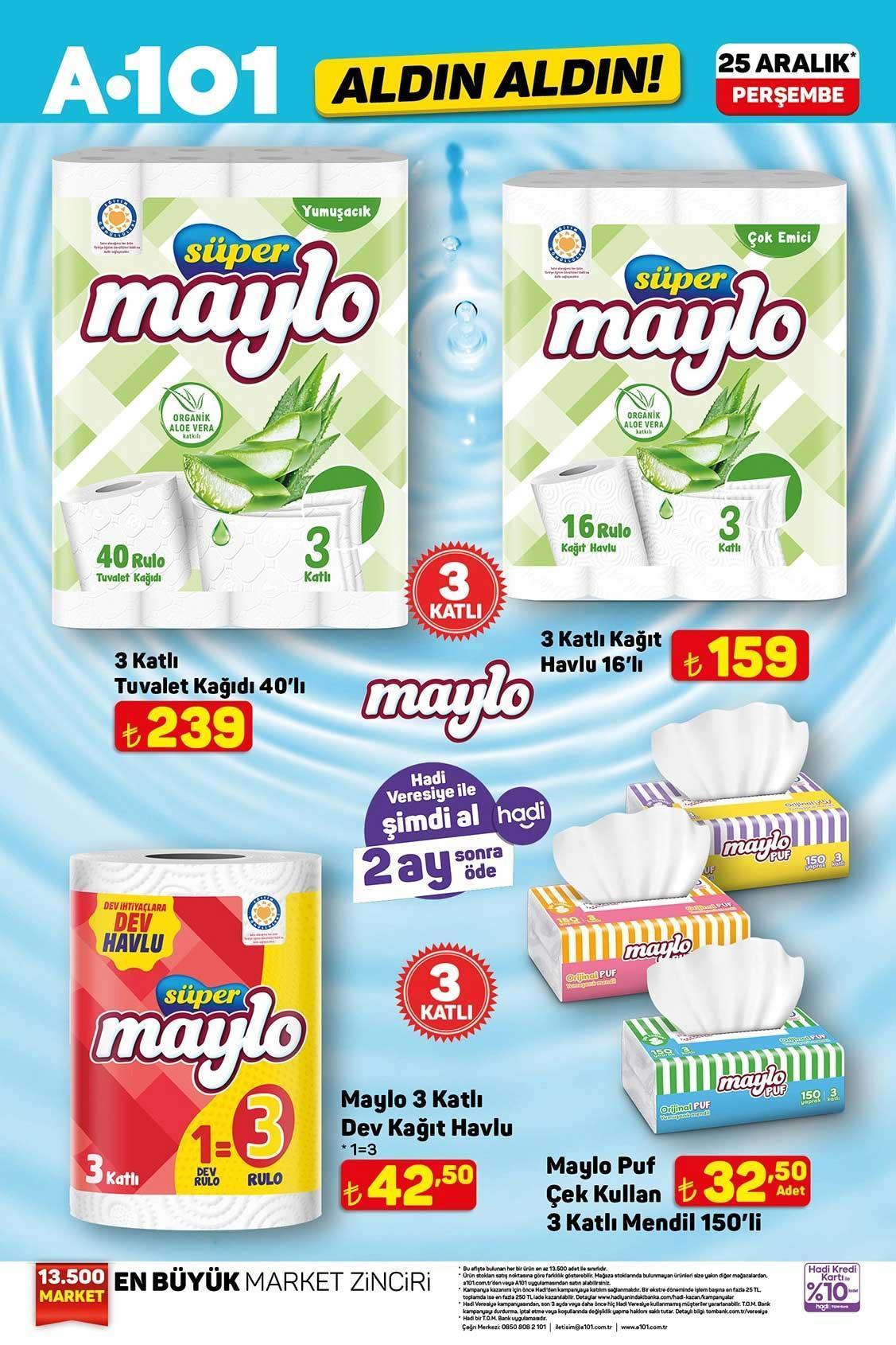25 ARALIK A101 ALDIN ALDIN AKTÜEL KATALOĞU