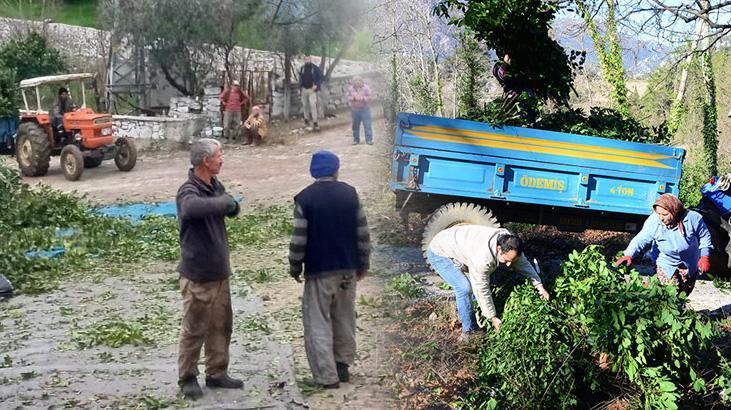 Kayalıkların arasında çıkan servet 100 aile kendi arasında paylaşıyor