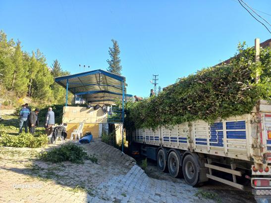 İŞLETME MÜDÜRLÜĞÜ GÖZETİMİNDE TOPLANIYOR