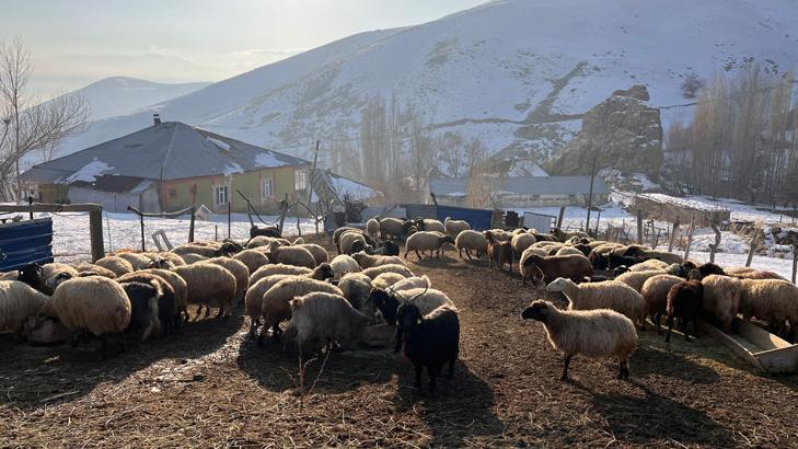 Eksi 10la donan şehrin saklı cenneti Burası kışın gelmediği köy
