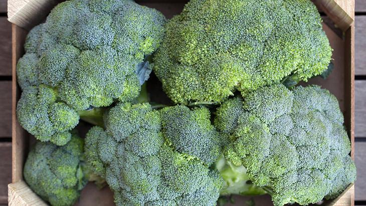 Beyinde kalkan görevi görüyor Alzheimer riskini azaltan yeşil mucize