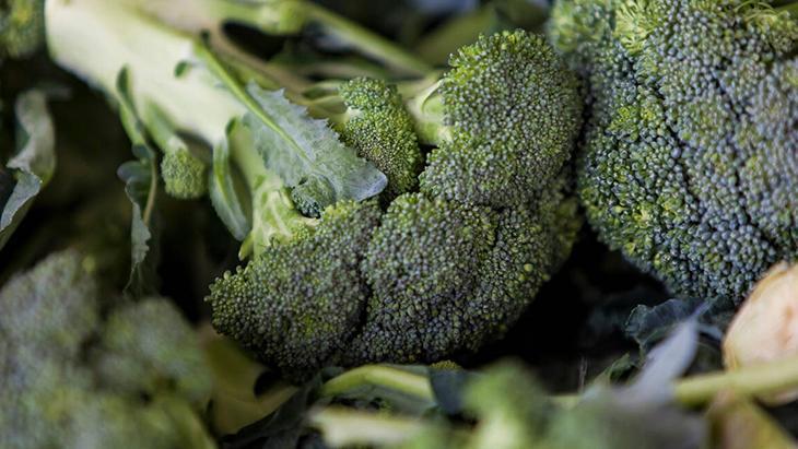 Beyinde kalkan görevi görüyor Alzheimer riskini azaltan yeşil mucize