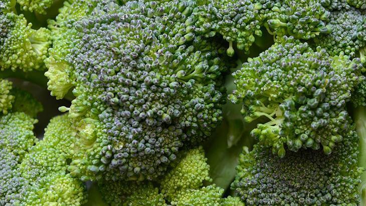 Beyinde kalkan görevi görüyor Alzheimer riskini azaltan yeşil mucize