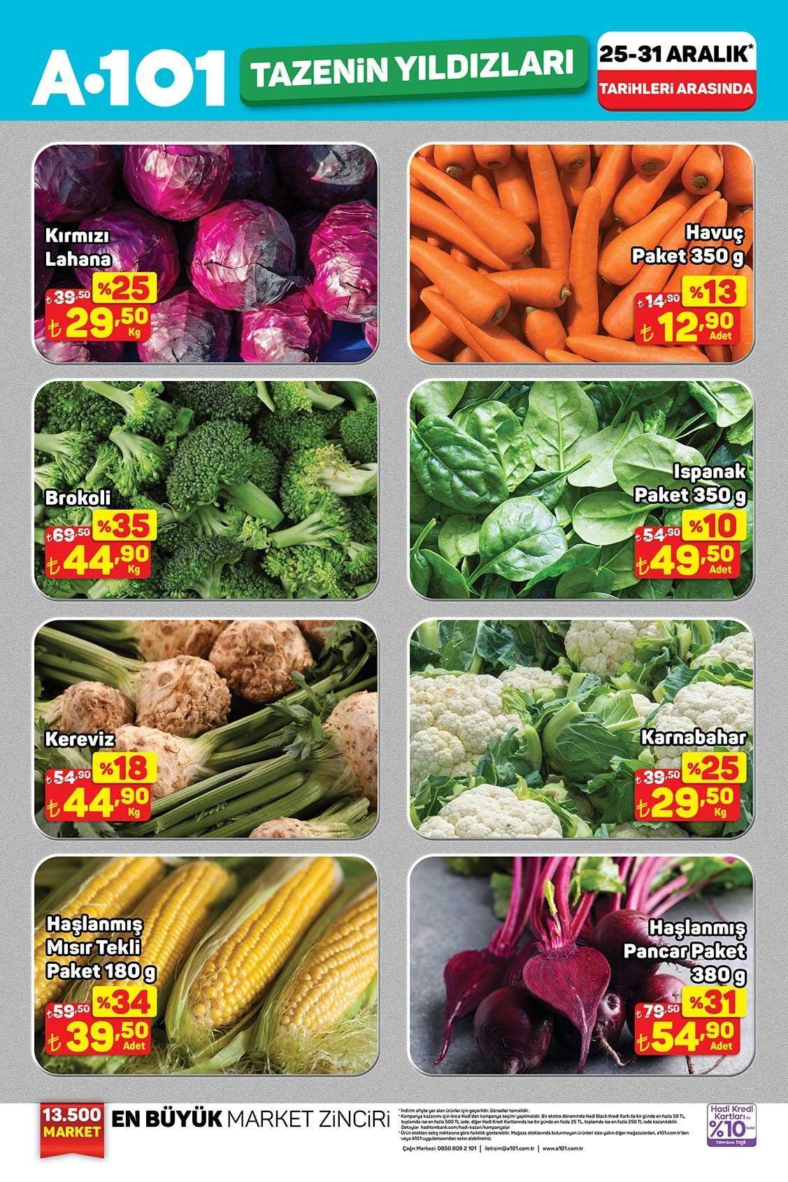 25-31 ARALIK A101 AKTÜEL KATALOĞU