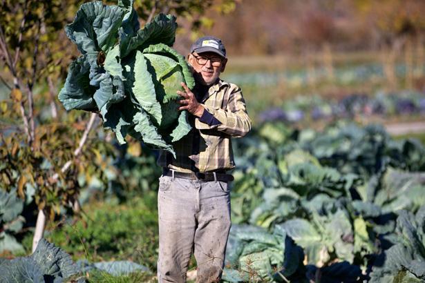 Hobi olarak başladı, gelir kapısı oldu: Atamızdan, dedemizden kaldı