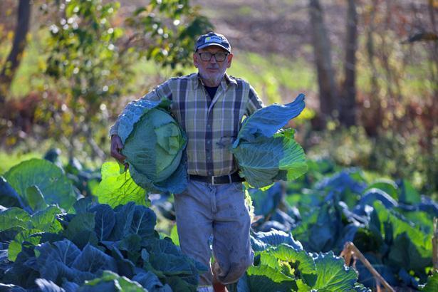 Hobi olarak başladı, gelir kapısı oldu: Atamızdan, dedemizden kaldı