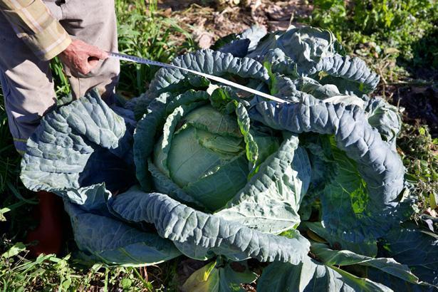Hobi olarak başladı, gelir kapısı oldu: Atamızdan, dedemizden kaldı