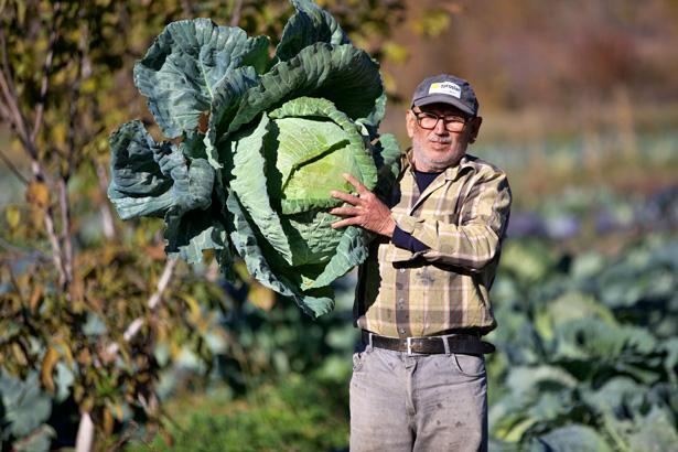 Hobi olarak başladı, gelir kapısı oldu: Atamızdan, dedemizden kaldı