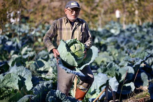 Hobi olarak başladı, gelir kapısı oldu: Atamızdan, dedemizden kaldı